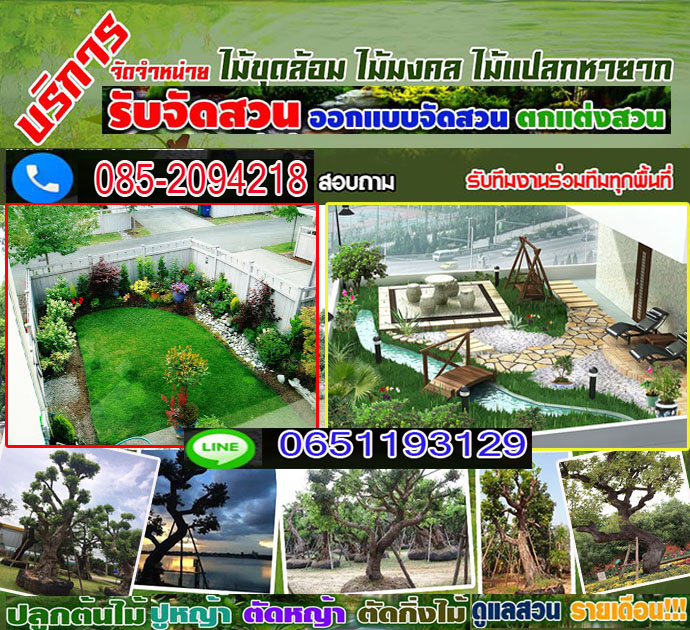รับจัดสวนหน้าบ้าน ออกแบบจัดสวน ตกแต่งสวน จัดสวนหน้าบ้าน ทำน้ำตก ปูหญ้า จัดสวนหย่อม