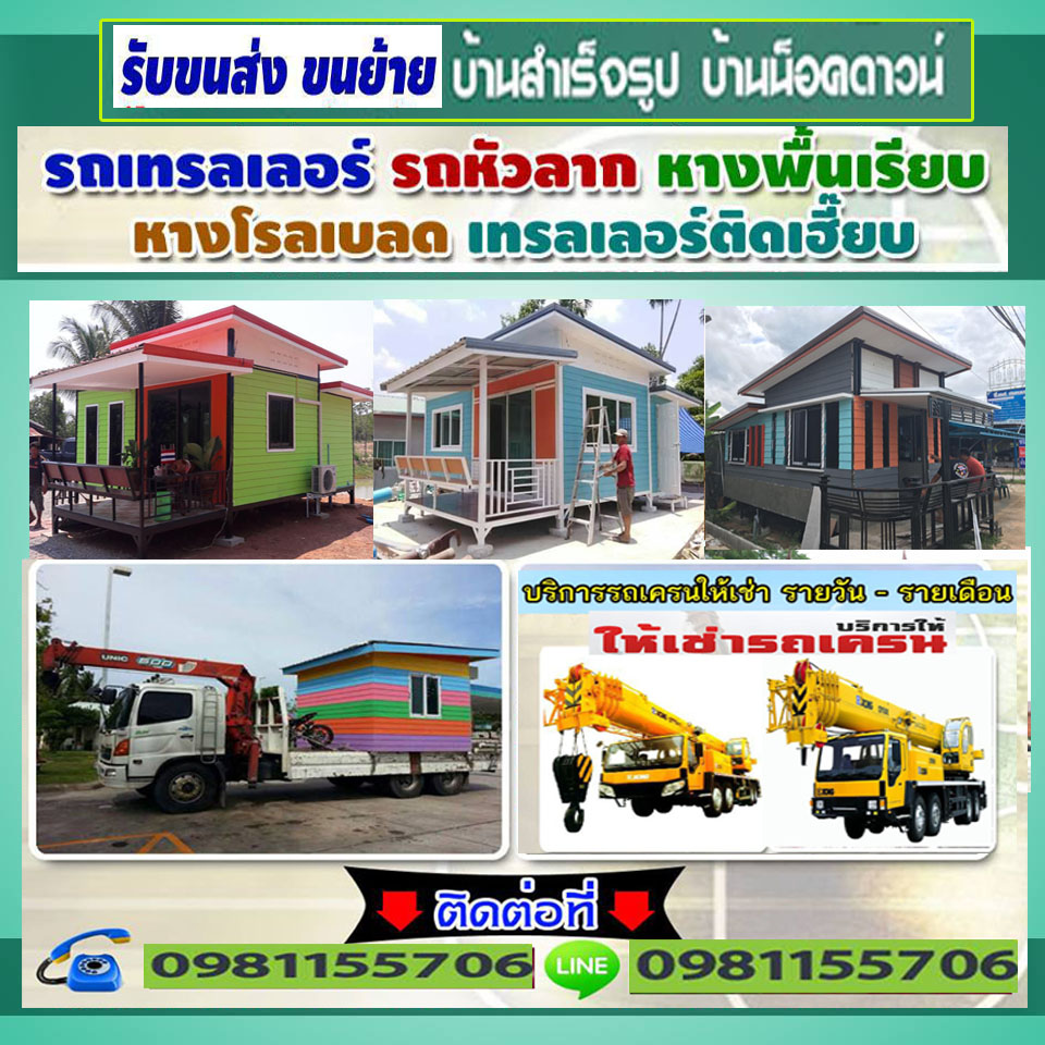 My Image 28