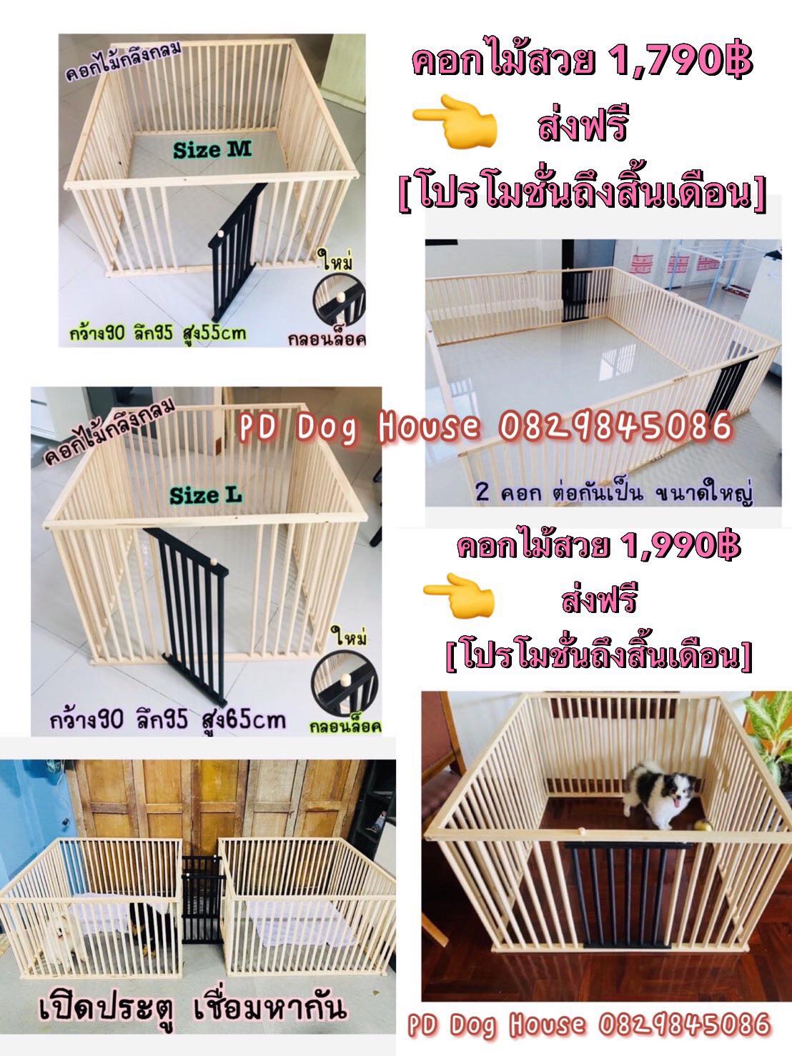 บ้านหมากรงแมวประจวบคีรีขันธ์